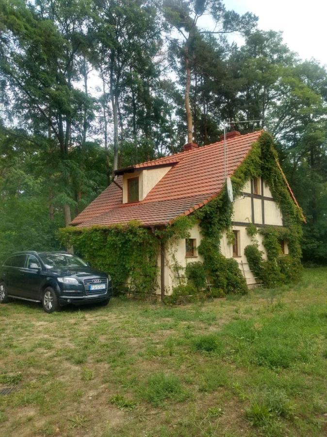 Zolty Domek Nad Jeziorem Lubniewice Villa Exterior photo